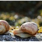 genießen das Aprilwetter