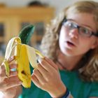 Genmanipulierte Bananen-Gurke