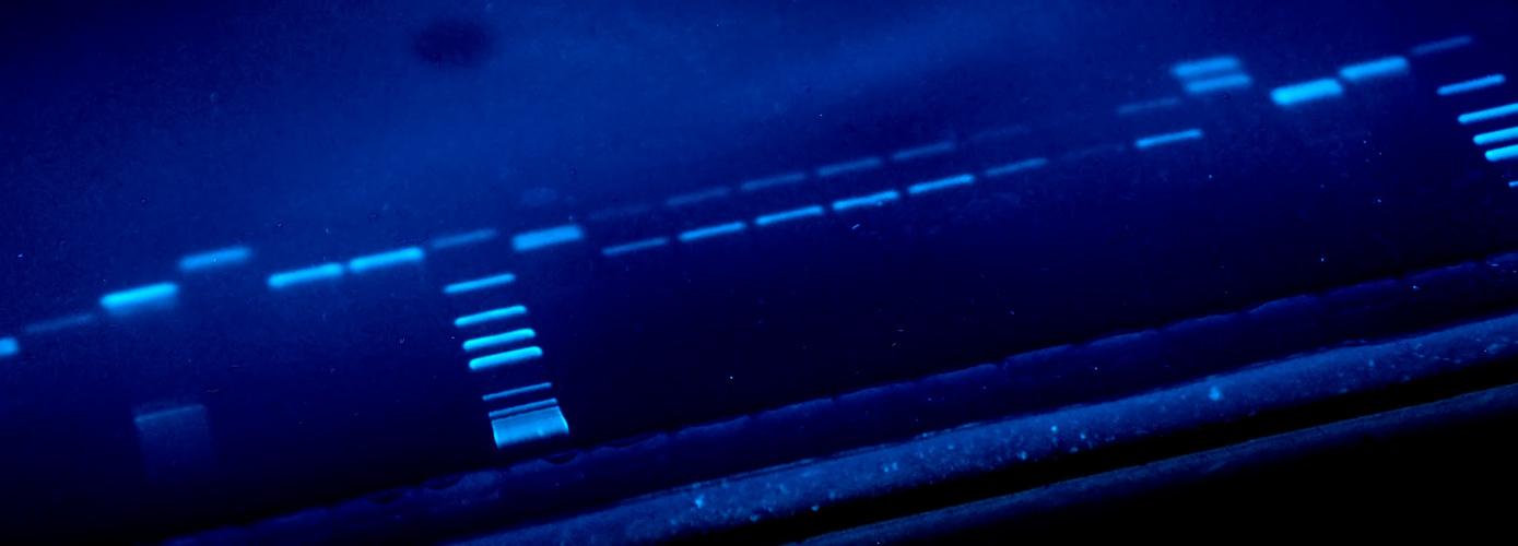 genomic Blue