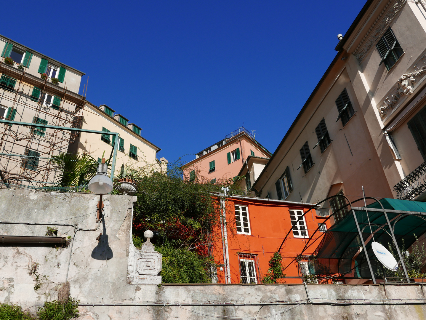 Genova