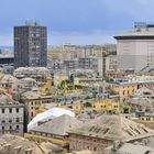 genova