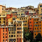 Genova