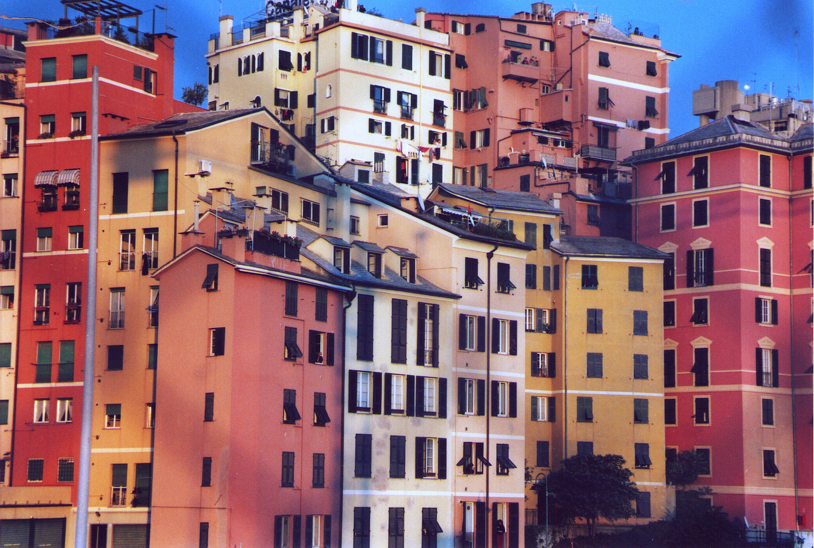 Genova