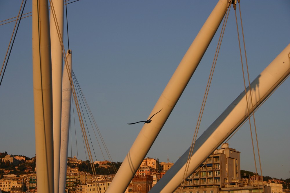 genova, il bigo