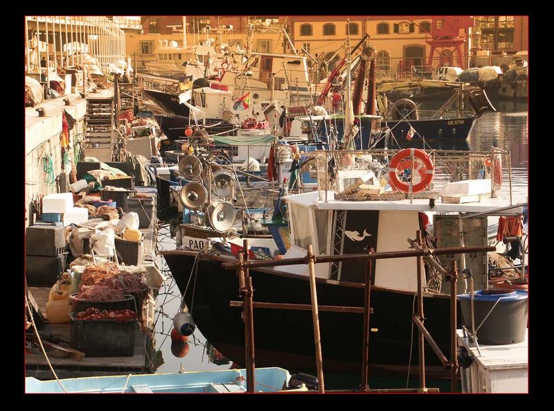 Genova - la vecchia darsena