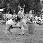 Gente de a caballo II