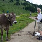 Gente strana cammina in montagna