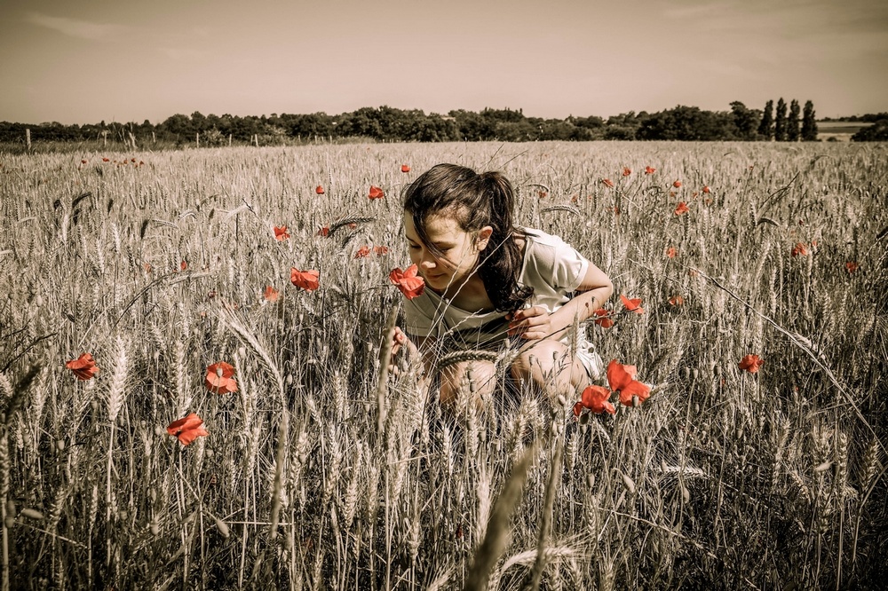 Gentils coquelicots...