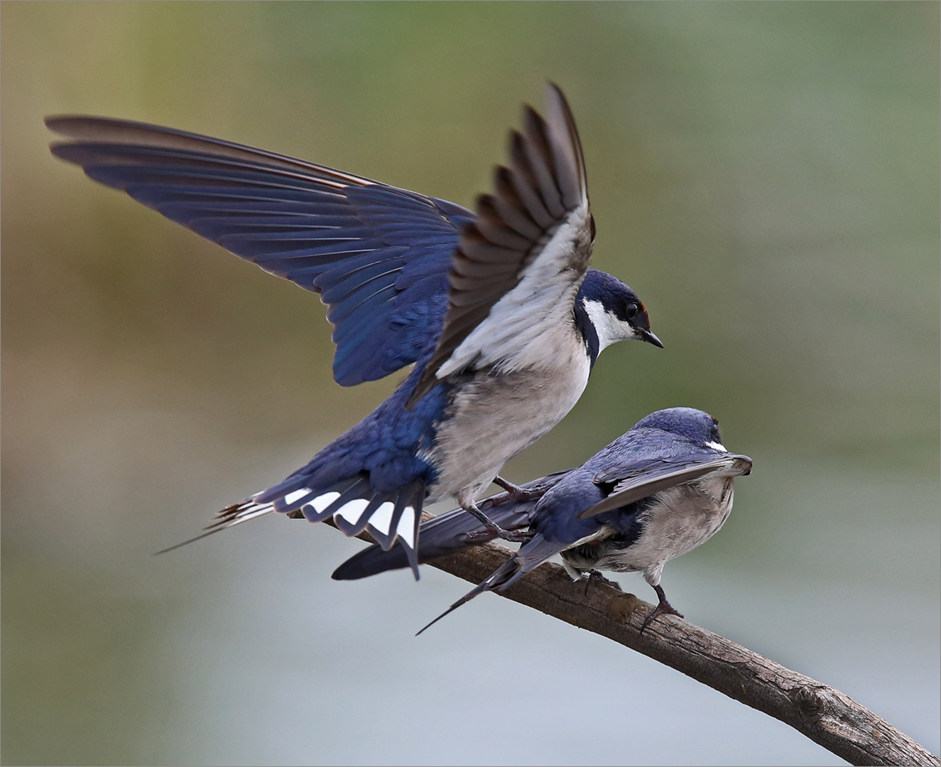 Gentle landing