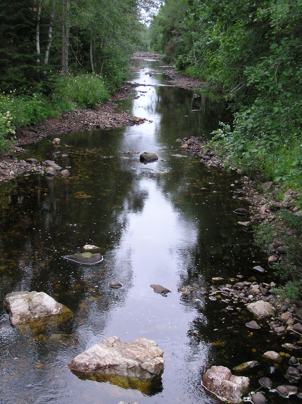 Gently down the stream