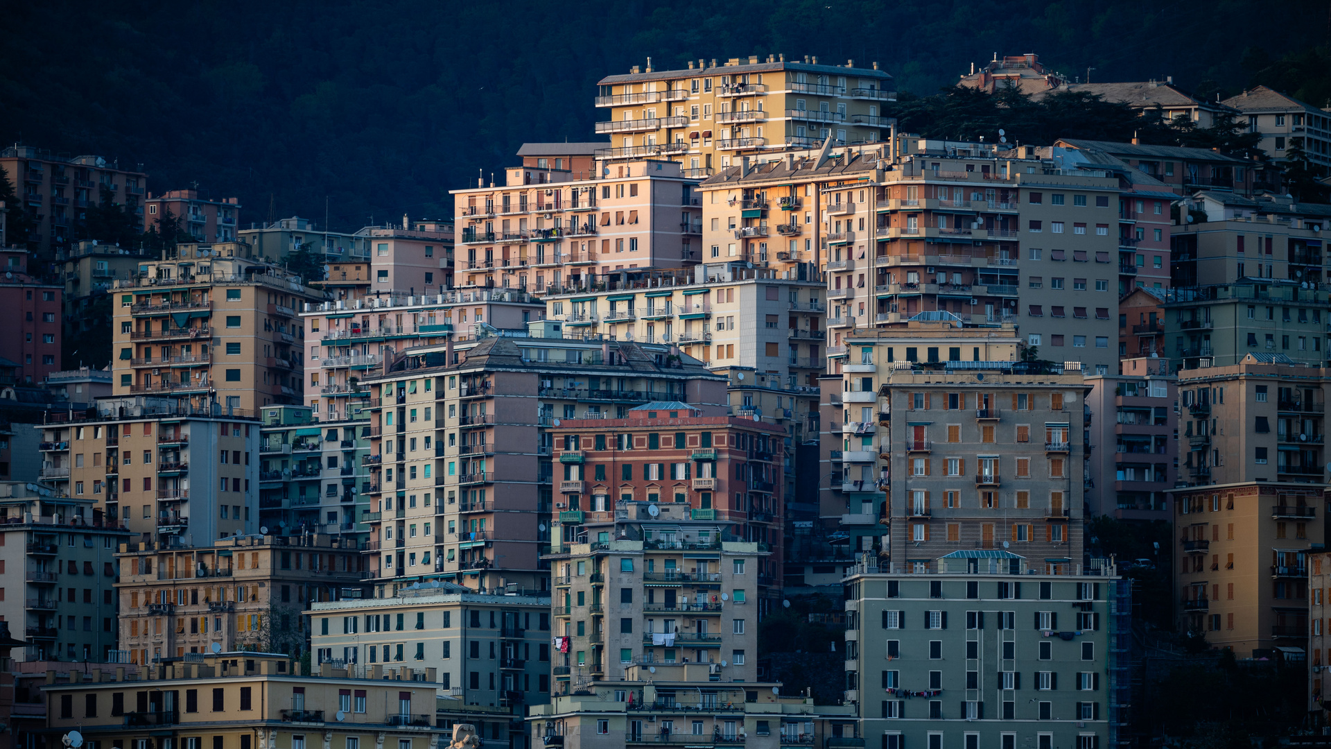 Genua