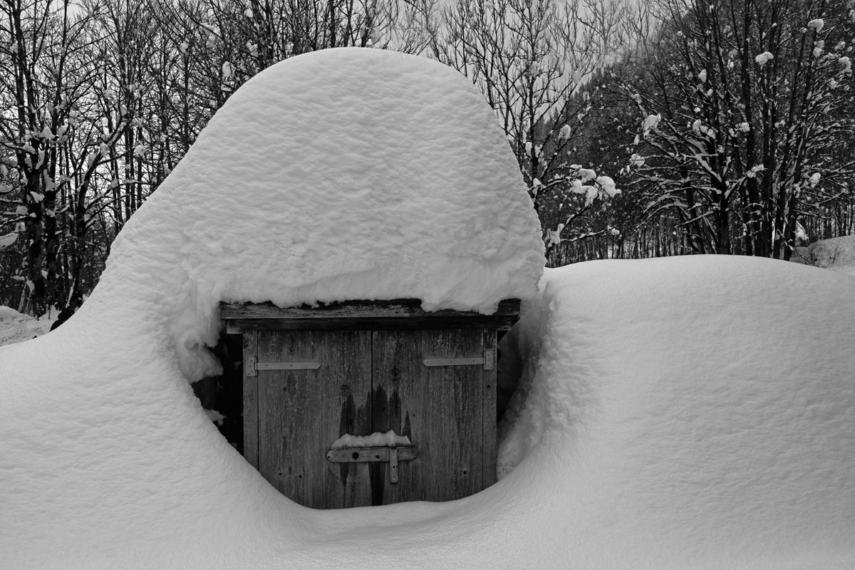 Genügend Schnee