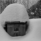 Genügend Schnee