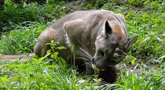 Genüßlich zu Ende futtern in Ruhe mal