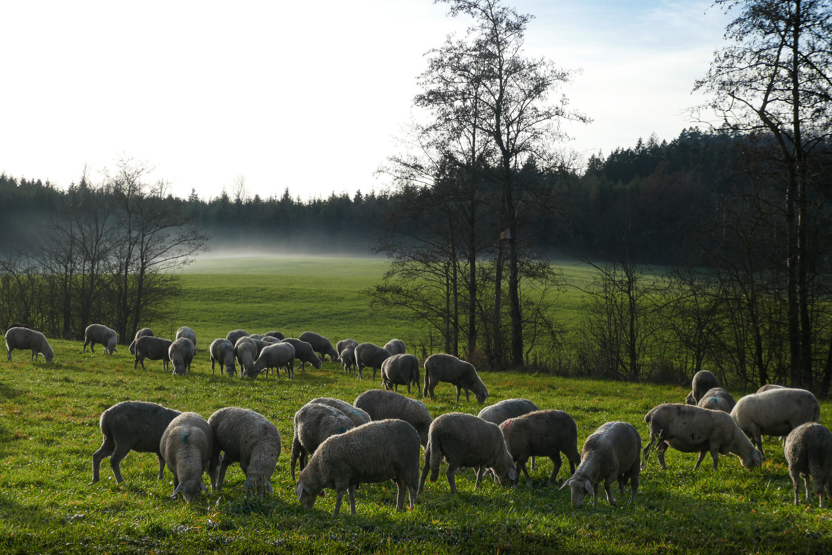 Genüssliches Fressen