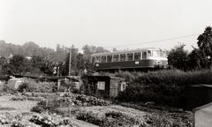 Genug der Blomen, ab durch dei Mitte