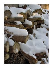 Genug Holz vor der Hütte..