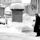 genug Schnee Frau Sommerhuber ???