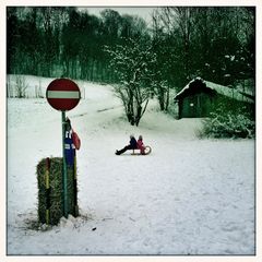 genug Schnee zu rodeln !