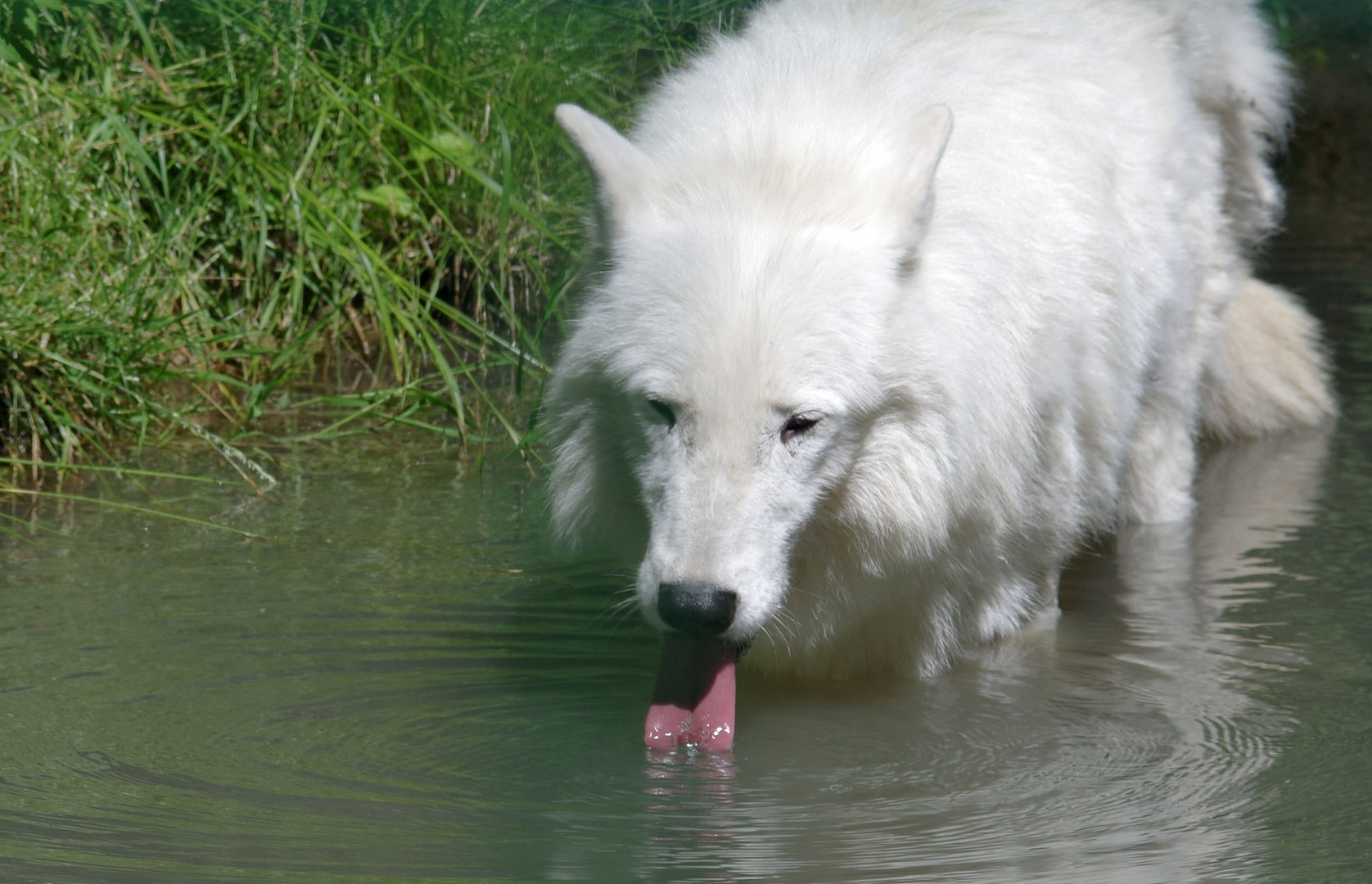 Genug Wasser