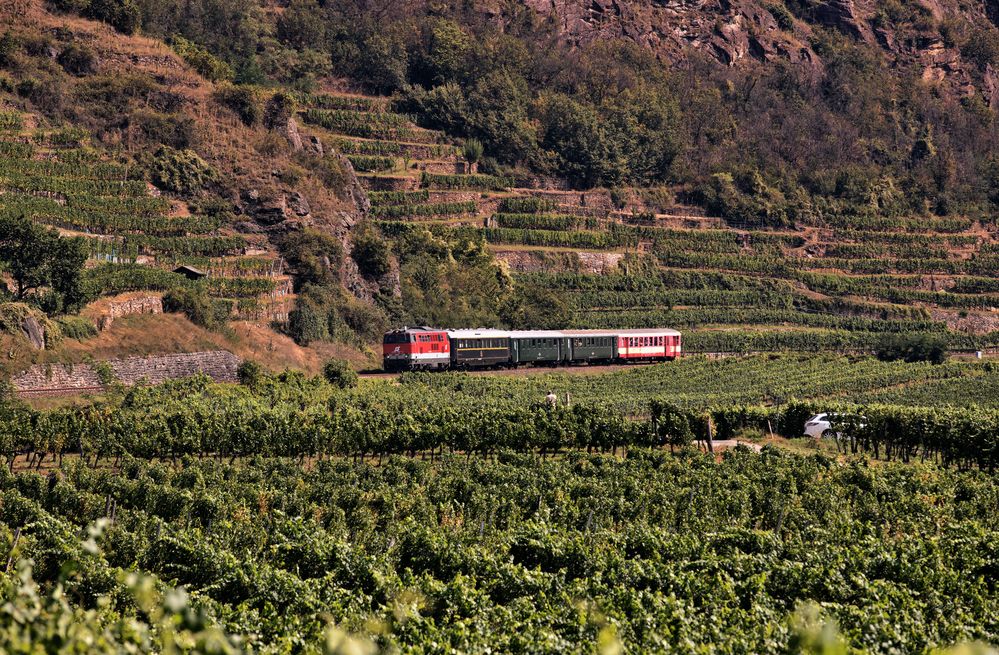 Genusfahrt durch die Wachau