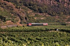 Genusfahrt durch die Wachau