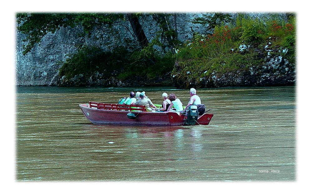 Genuß an der  Donau 