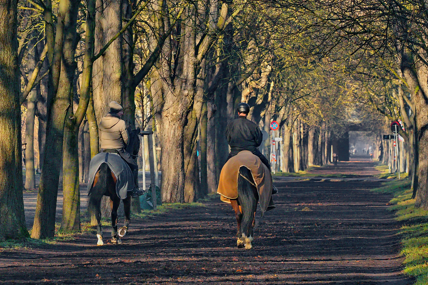 Genussritt durch die frühlingshafte Allee