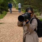 User Profile Photo