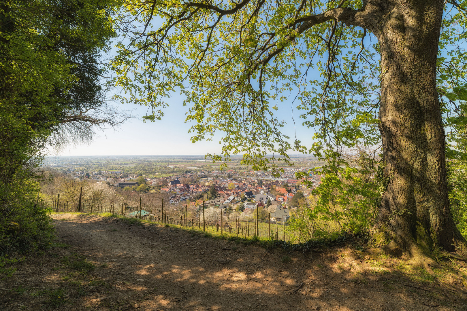 Geocachen und Spazieren oberhalb Zwingenberg