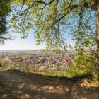 Geocachen und Spazieren oberhalb Zwingenberg