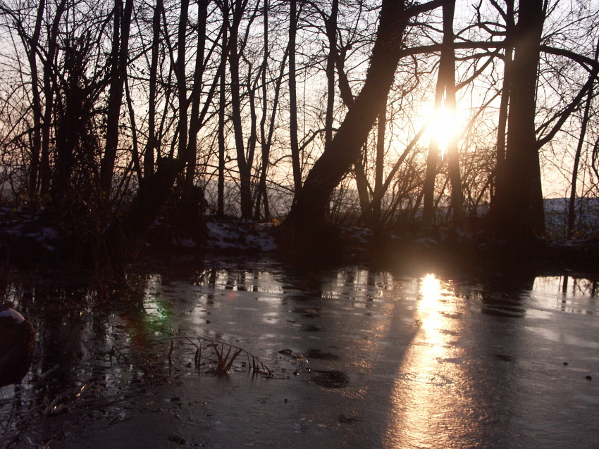 Geocaching am Weiher