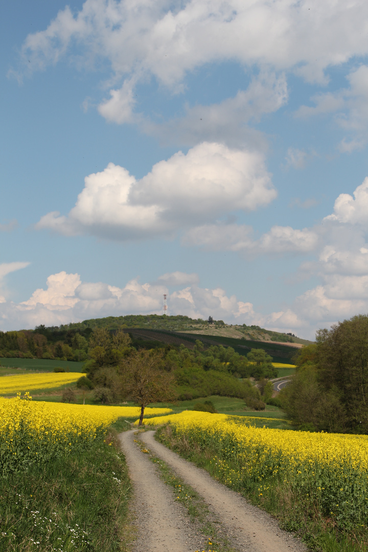 Geocaching, der Weg ist das Ziel!!