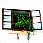 Geöffnetes Fenster - Burg Hohensalzburg in Salzburg