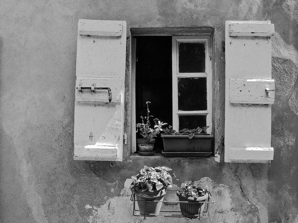 Geöffnetes Fenster und Pflanzen, Elba 2006