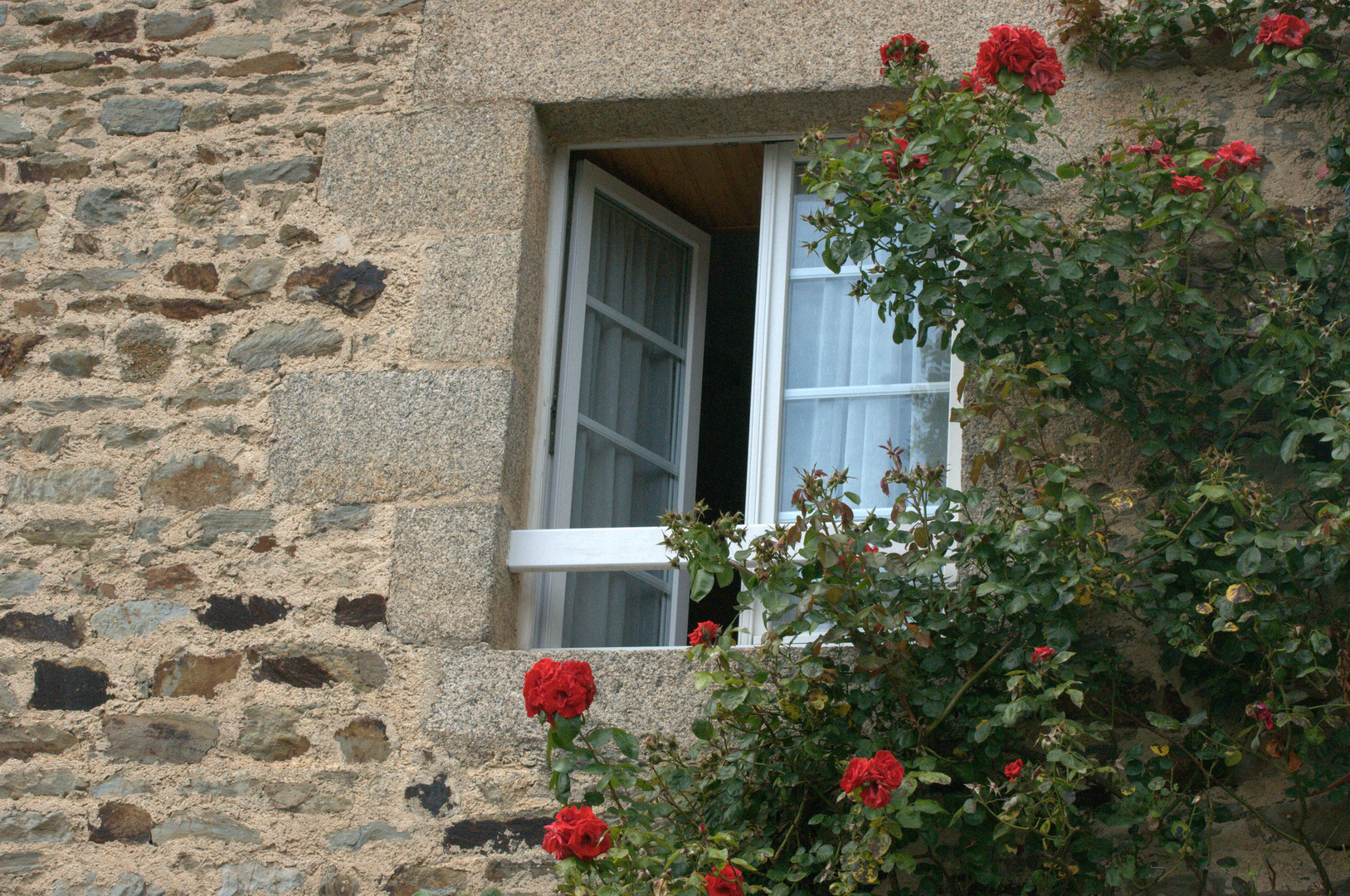 Geöffnetes Fenster, von Rosen umrankt