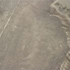 Geoglyphen von Nasca