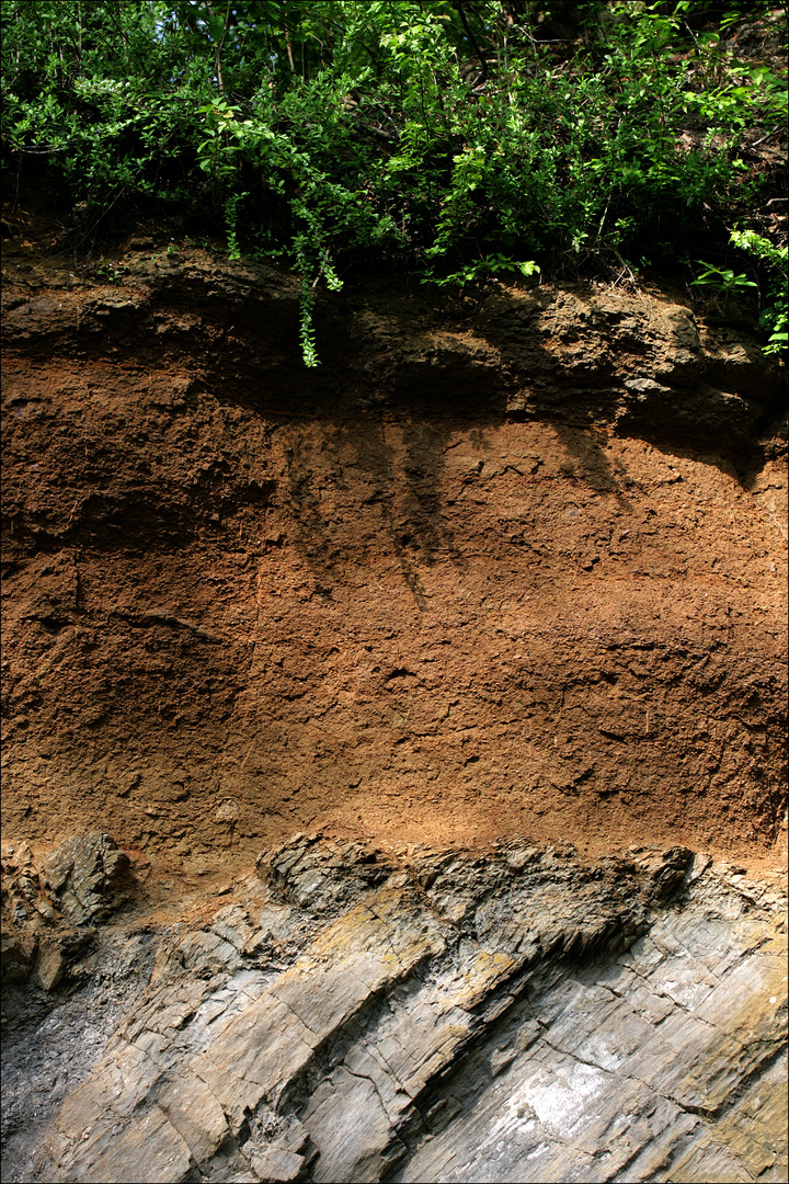 Geologischer Garten