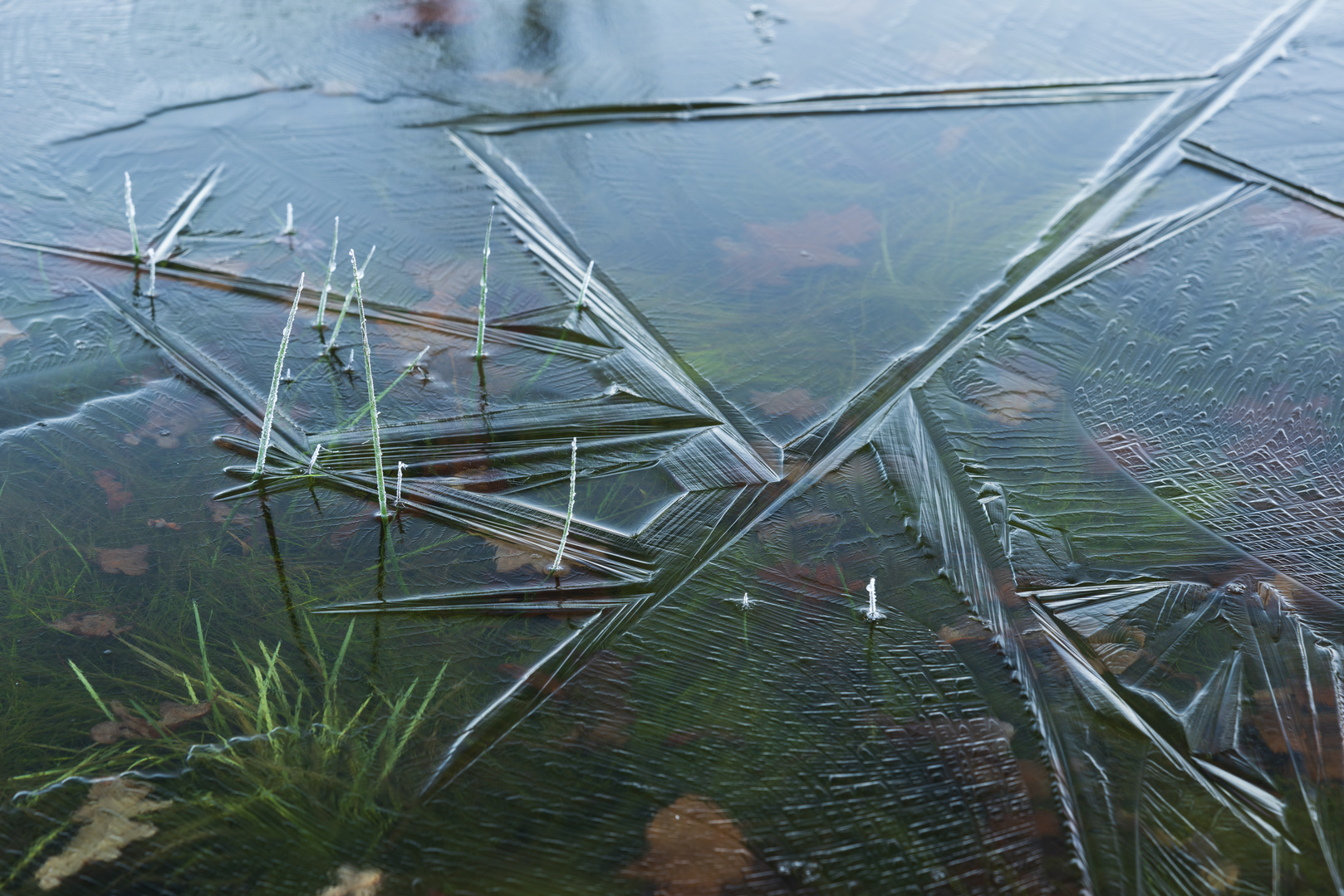 Geometría en el hielo