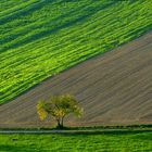 Geometrie auf dem Lande