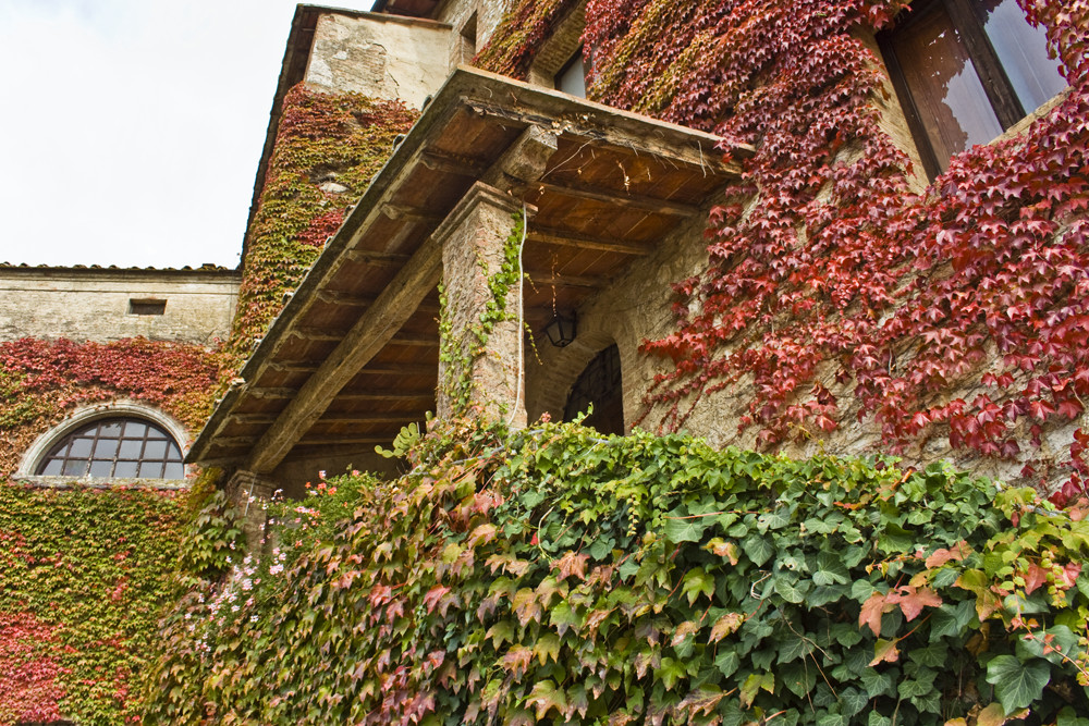 geometrie d'autunno. di Alberto Cherubini Magni 