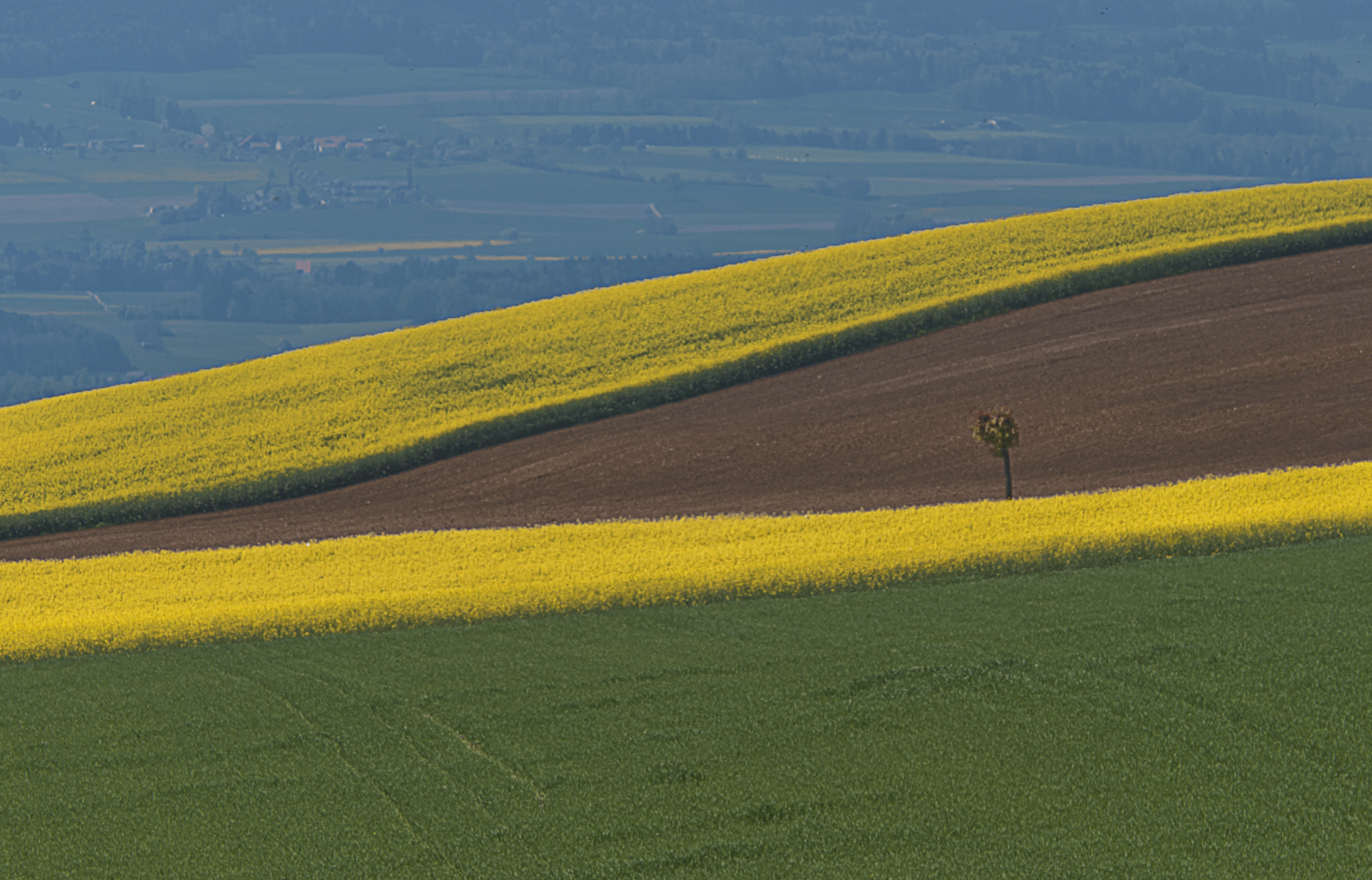 Geometrie der Landschaft II