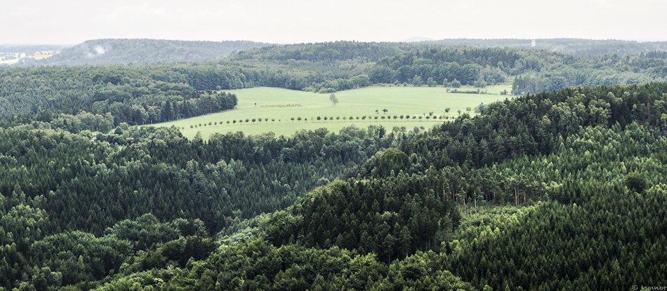 Geometrie der Natur 1