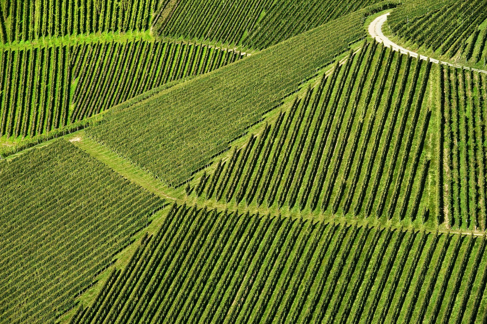 Geometrie Der Natur Foto Bild Landschaft Sonstiges Jahreszeiten Bilder Auf Fotocommunity