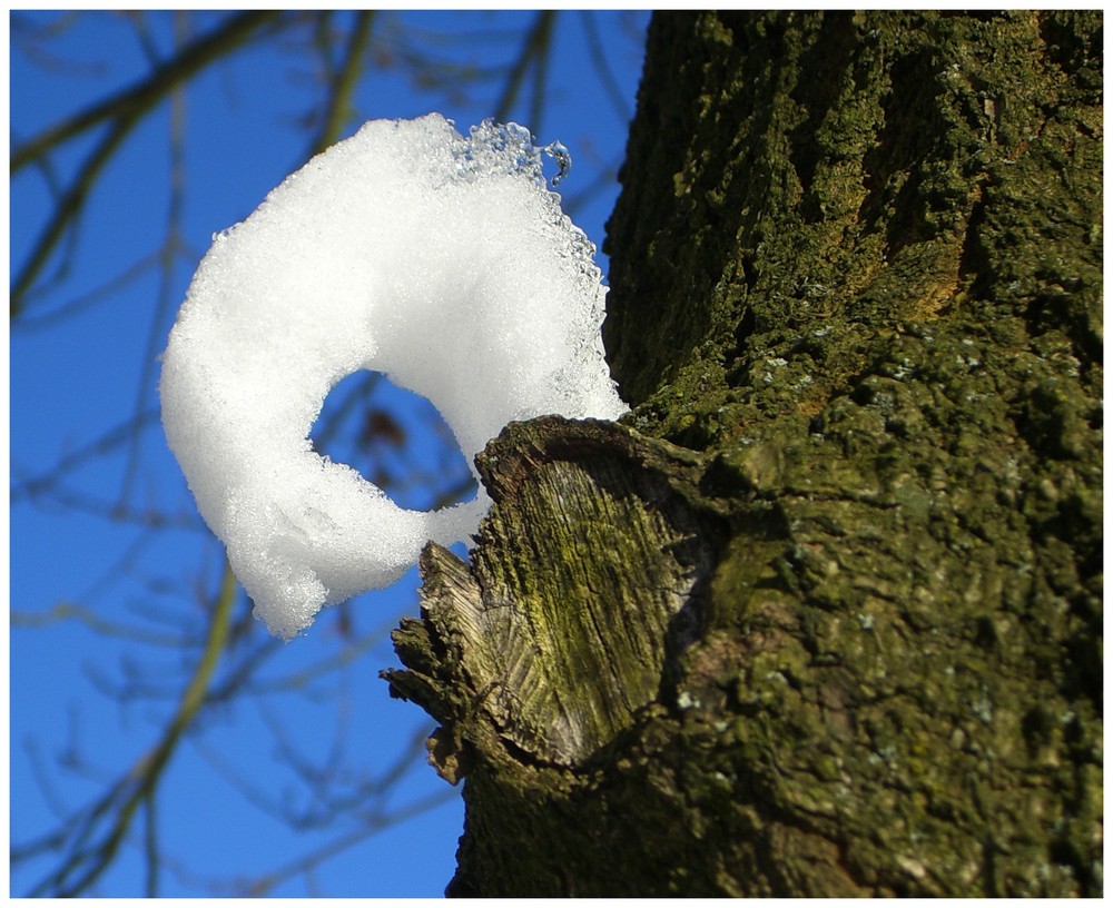 Geometrie der Natur