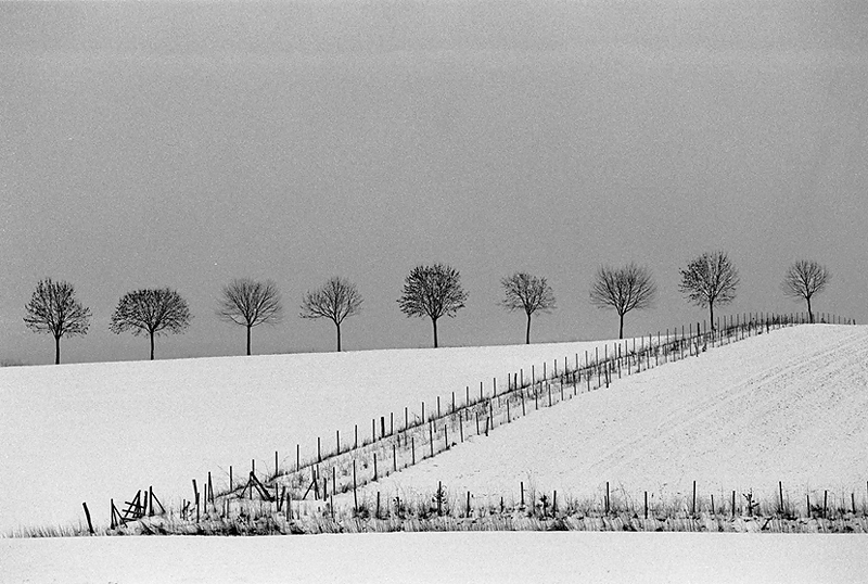 Geometrie der Natur