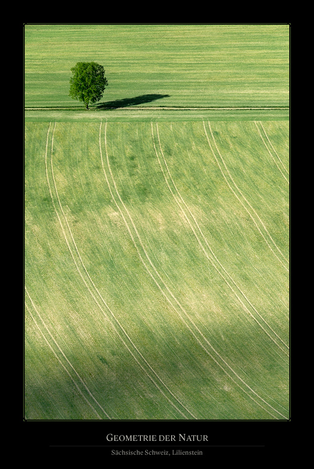 Geometrie Der Natur I Foto Bild Landschaft Kulturlandschaften Natur Bilder Auf Fotocommunity