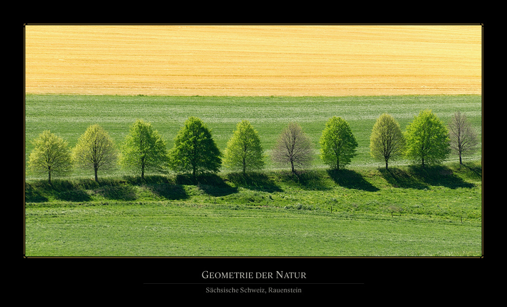 Geometrie der Natur II