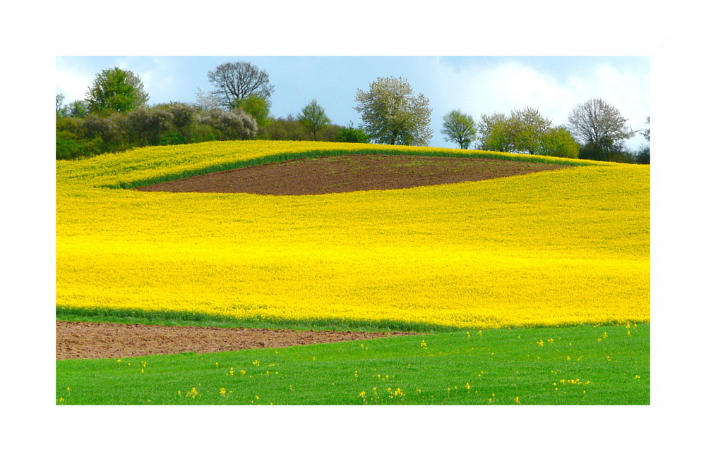 Geometrie - gelb-grün-braun