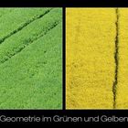 Geometrie im Grünen und Gelben
